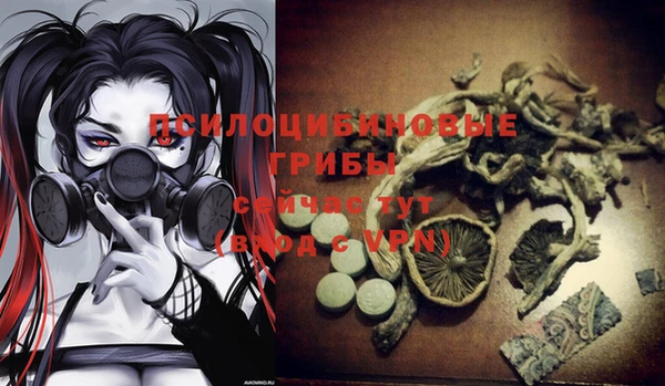 спиды Инта