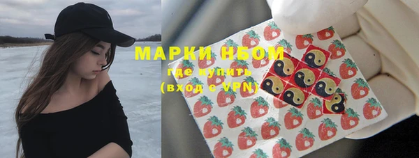 спиды Инта