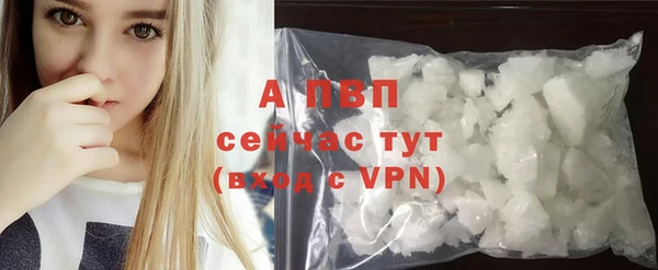 спиды Инта