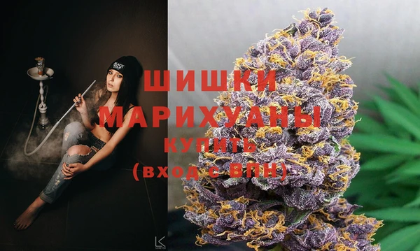 спиды Инта