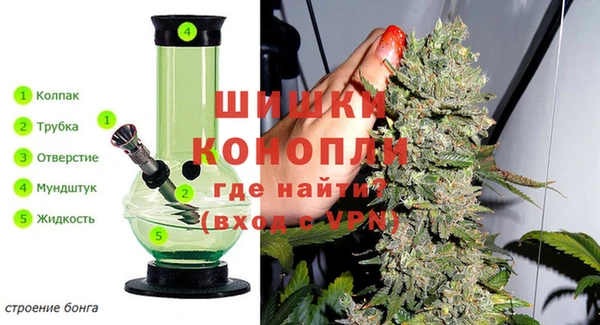 спиды Инта
