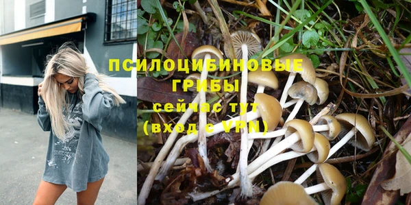спиды Инта