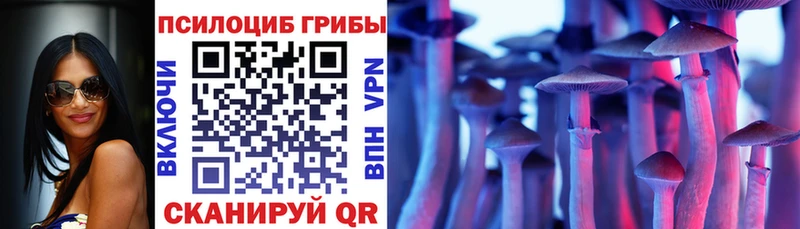 Псилоцибиновые грибы прущие грибы  Купить где  Щучье 